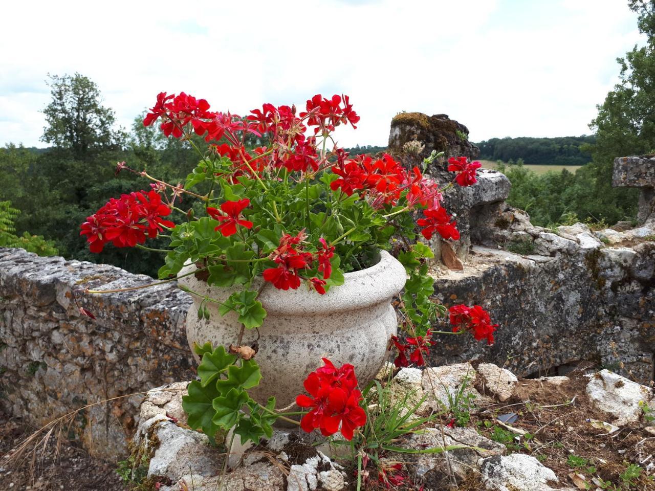 Villa Du Cerf Thibault 르 블랑 외부 사진
